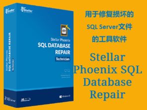 信息系统集成项目管理软件在阿里云云市场的应用与产品解析